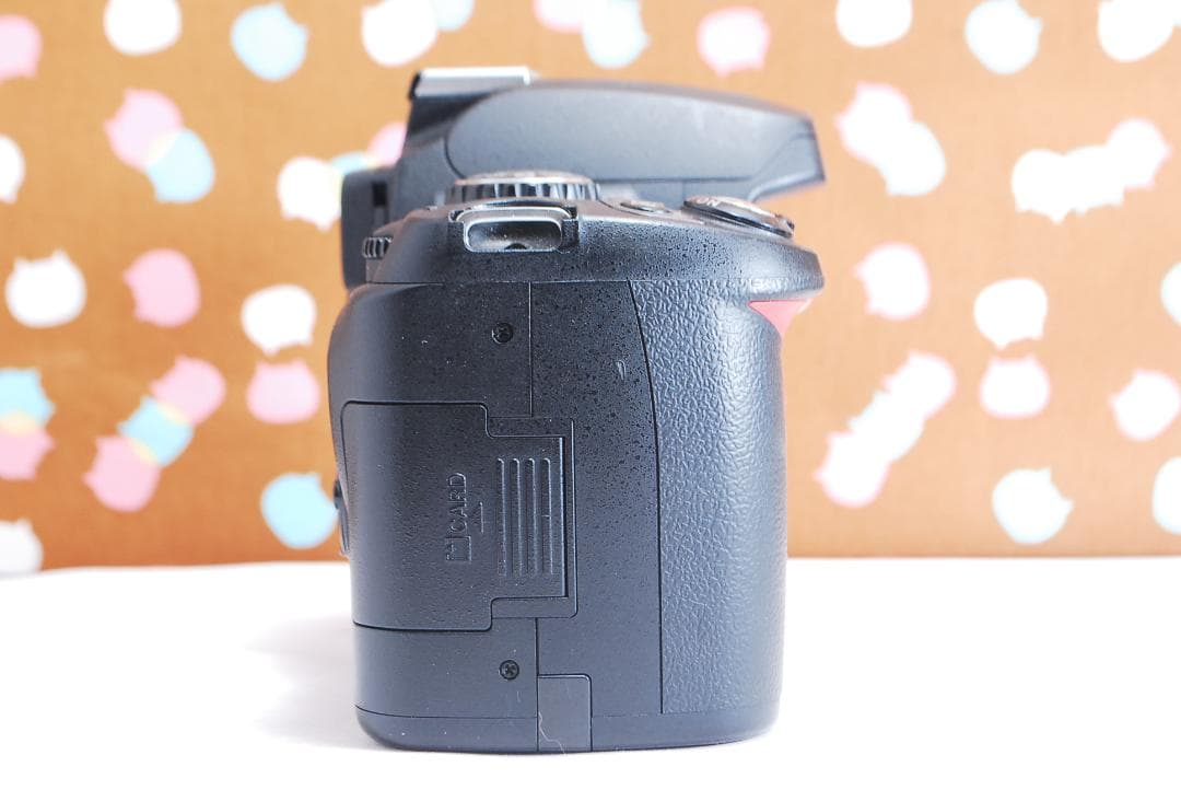 ✨スマホ転送可能✨ショット数6262回✨Nikon D40x レンズセット