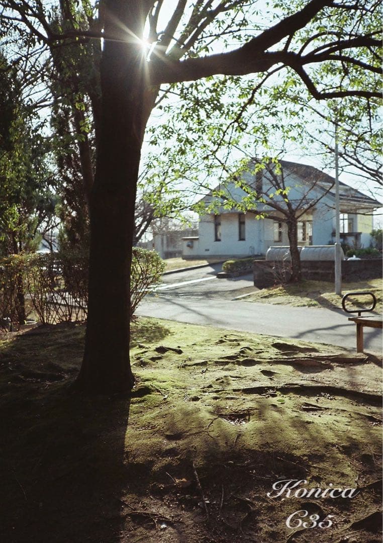 フィルム入門に★Konica C35★完動品＊美品＊初期保証＊作例必見！