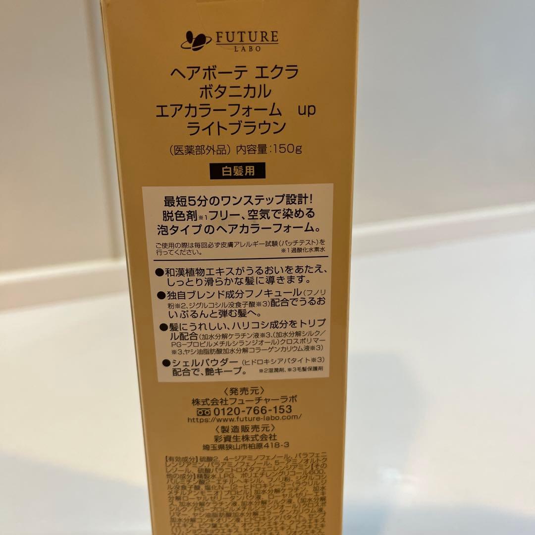 ヘアボーテ エクラ ボタニカルエアカラーフォームupライトブラウン150g×2本