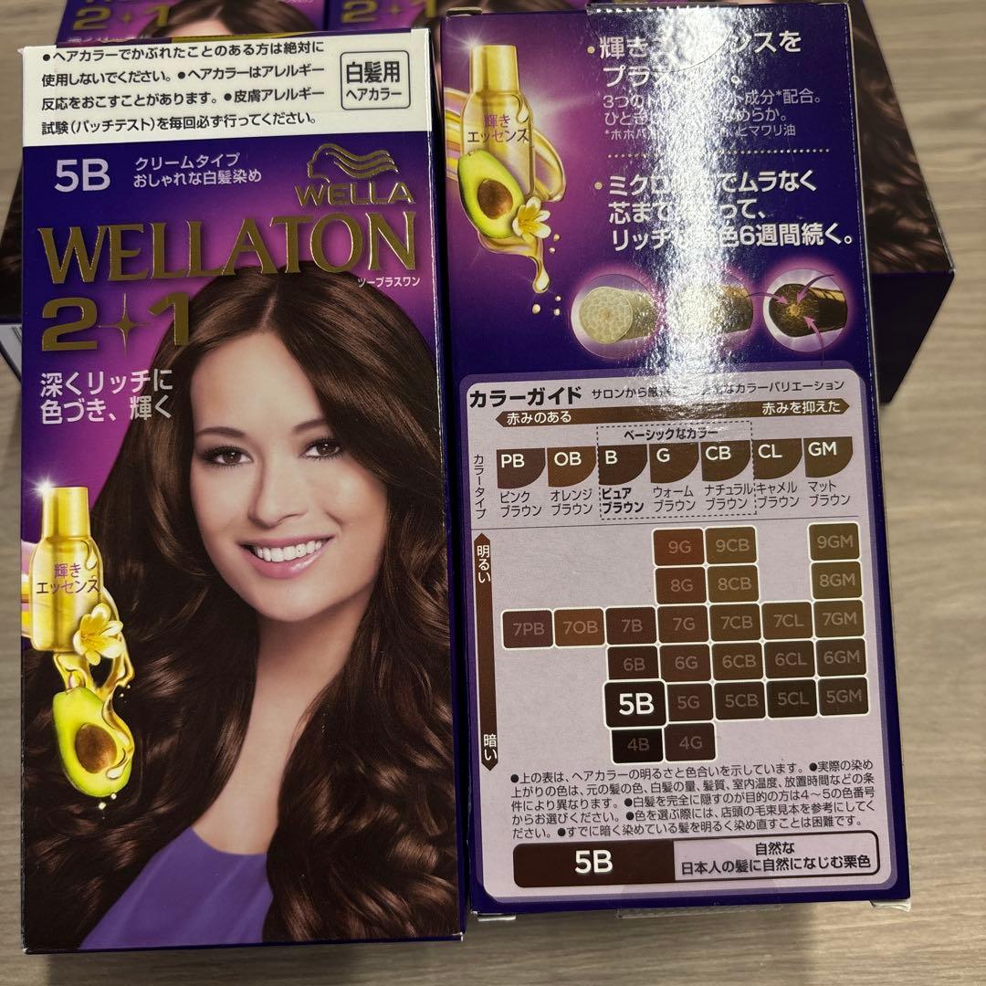 WELLATON 2+1 ヘアカラー 5B 白髪染め　 10個セット