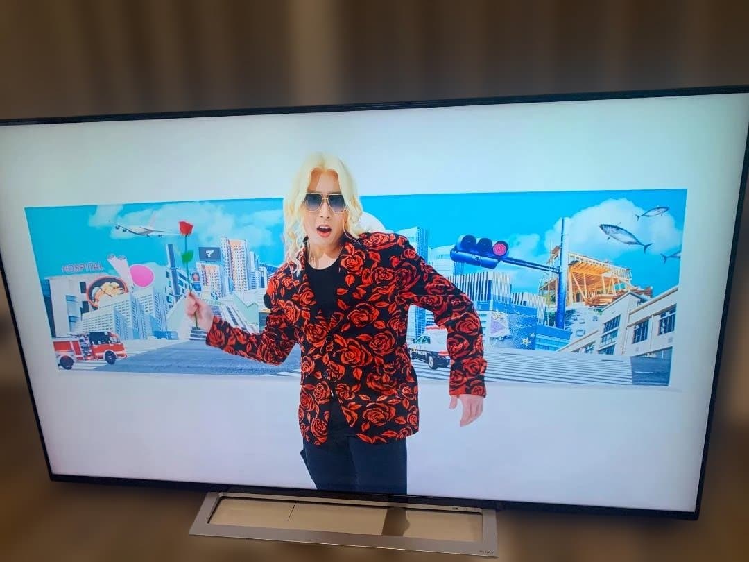 東芝 65V型 4Kチューナー内蔵 液晶テレビ レグザ 65M520X W録画