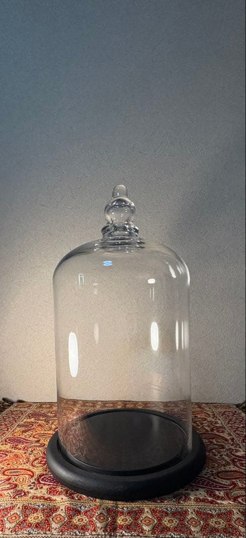 Floyd フロイド ガラスドーム Lサイズ