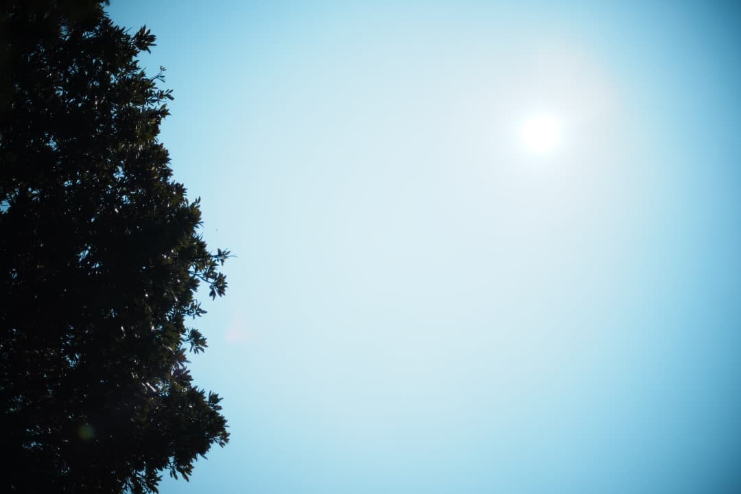 【整備＆テスト済】AI AF Nikkor 50mm F1.4 D 538