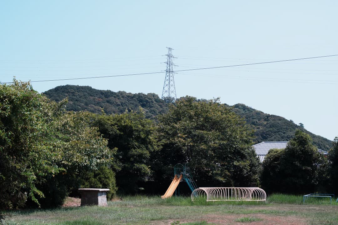 【整備＆テスト済】AI AF Nikkor 50mm F1.4 D 538