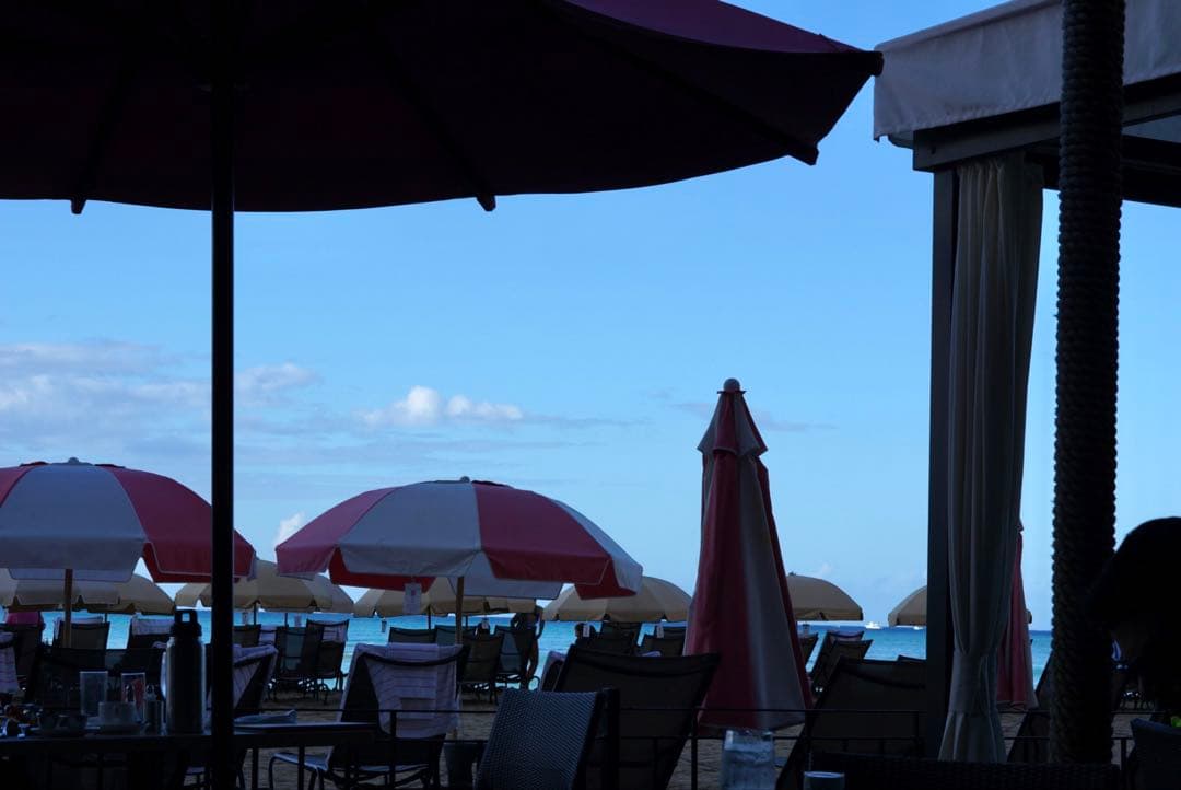 SONY α nex-6 ミラーレス一眼 sel50f18