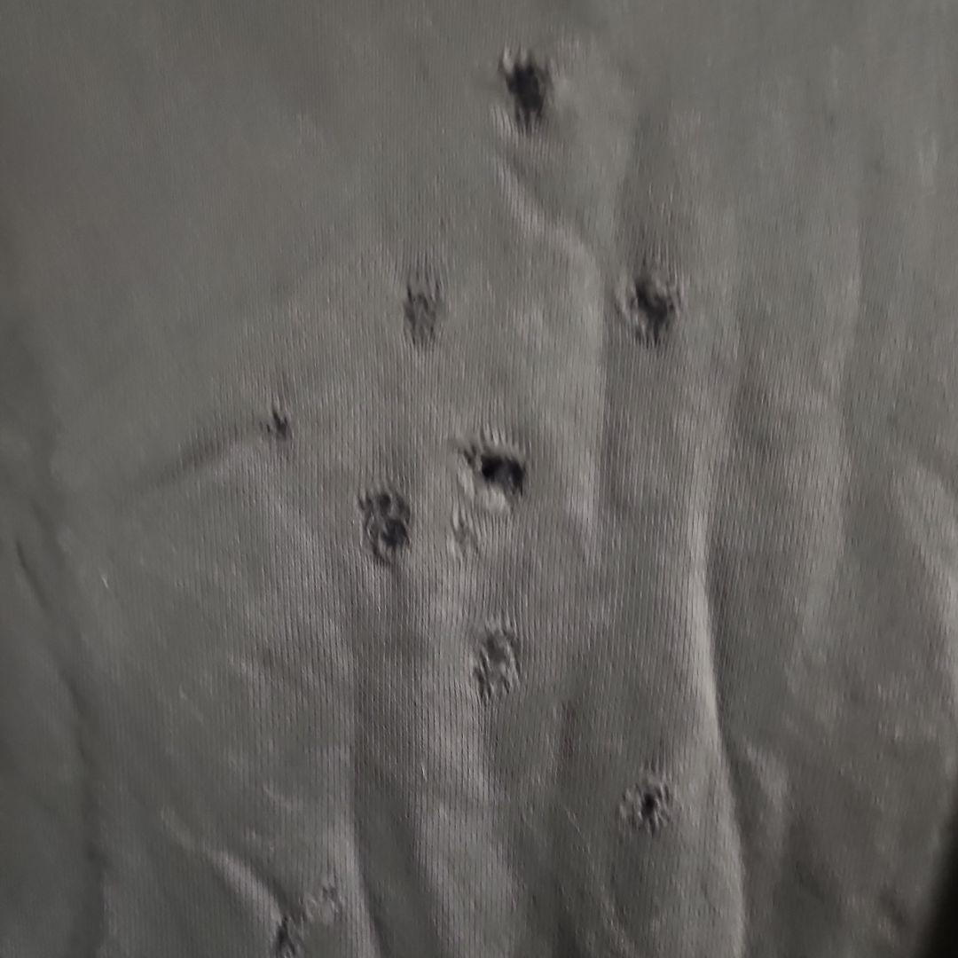 NUMBER (N)INE TIME期　ジオバーニ スウェット　弾丸穴空き　３