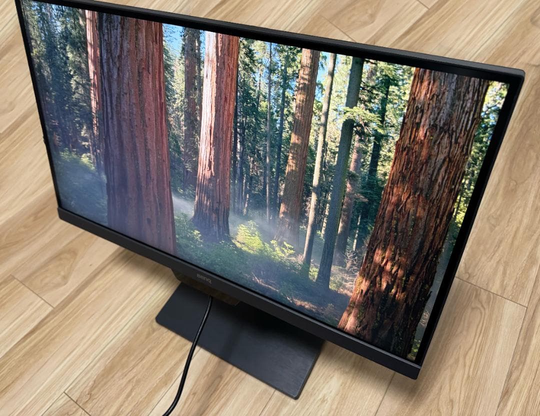 BenQ PD2500Q デザイナー向けモニター 25インチ