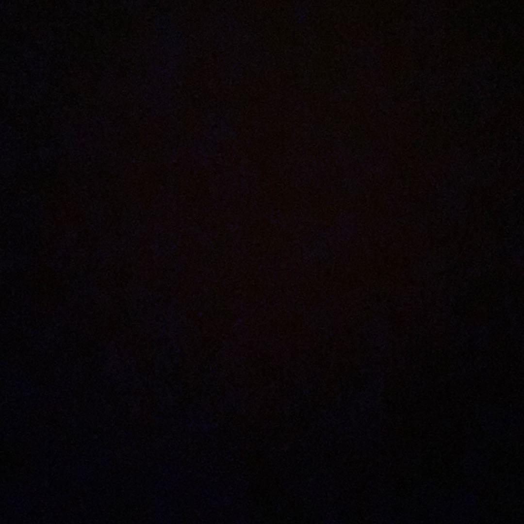 セパ　ウインカー