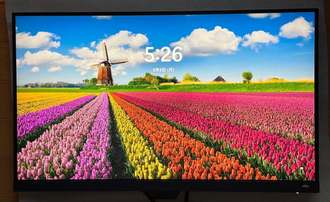 BenQ MOBIUZ EX2510 144Hz モニター スタンドなし 使用少