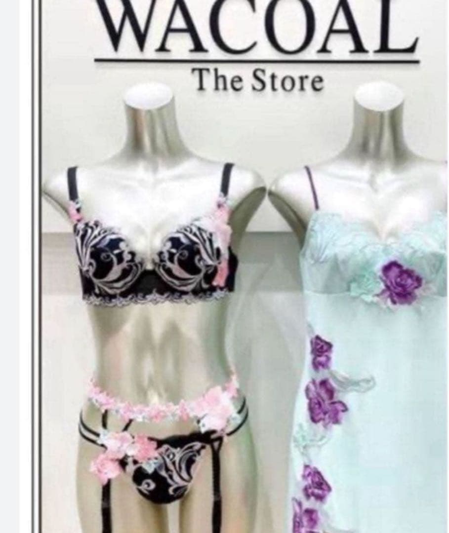 ワコール/サルート 66グループ 新品タグ付 P-upブラTバックE65 BL