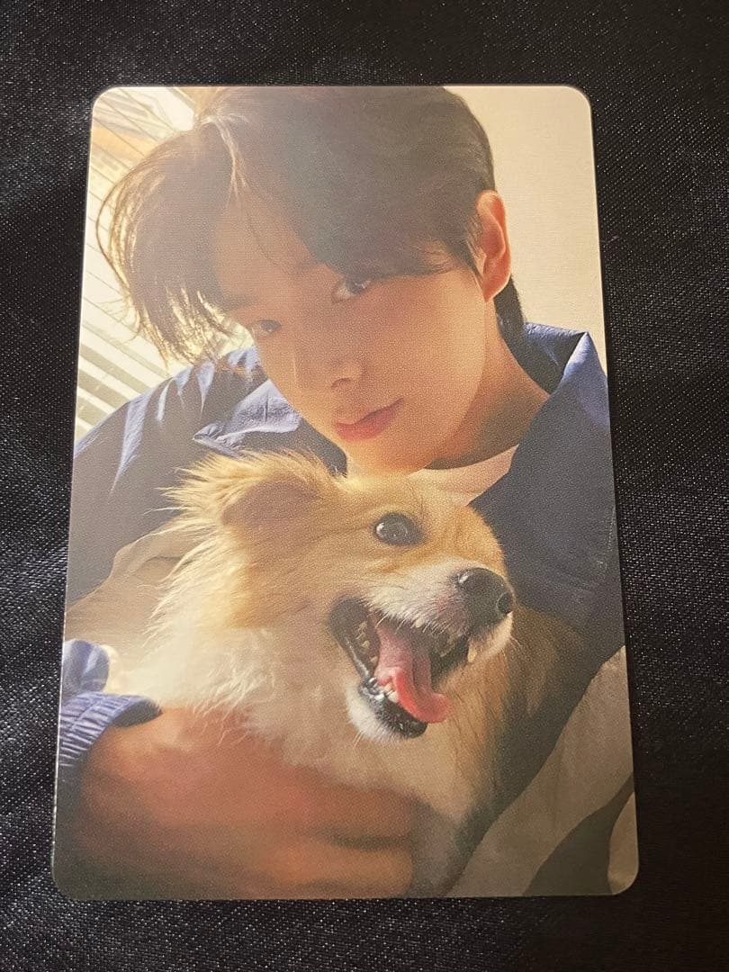 ENHYPEN ジェイク アンケートトレカ