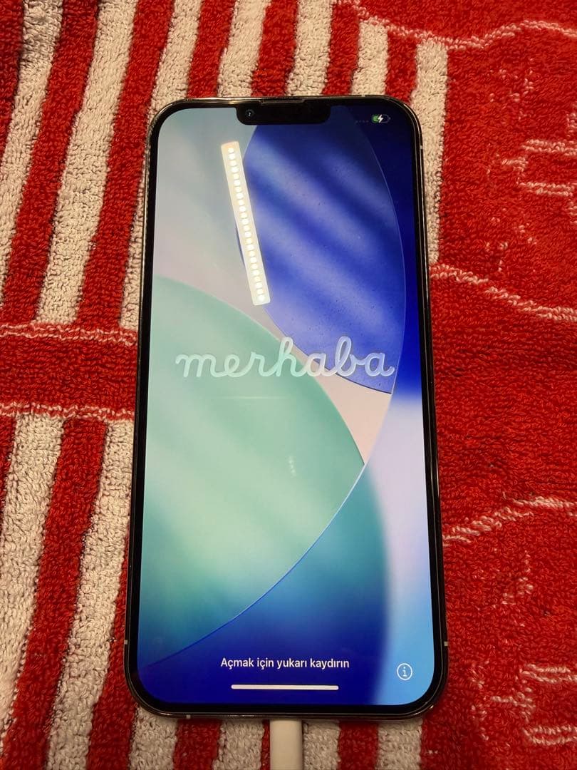 Apple iPhone 13 Pro max 本体 美品　256G シルバー