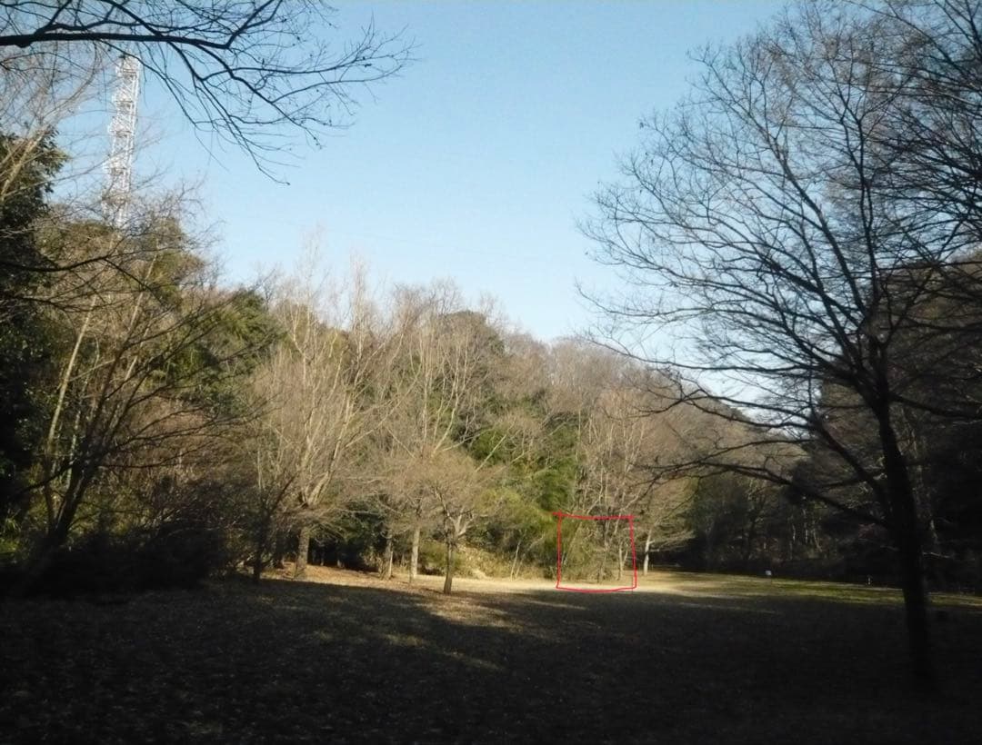 動作確認済み パナソニック LUMIX DMC-FX30-T ブラウン