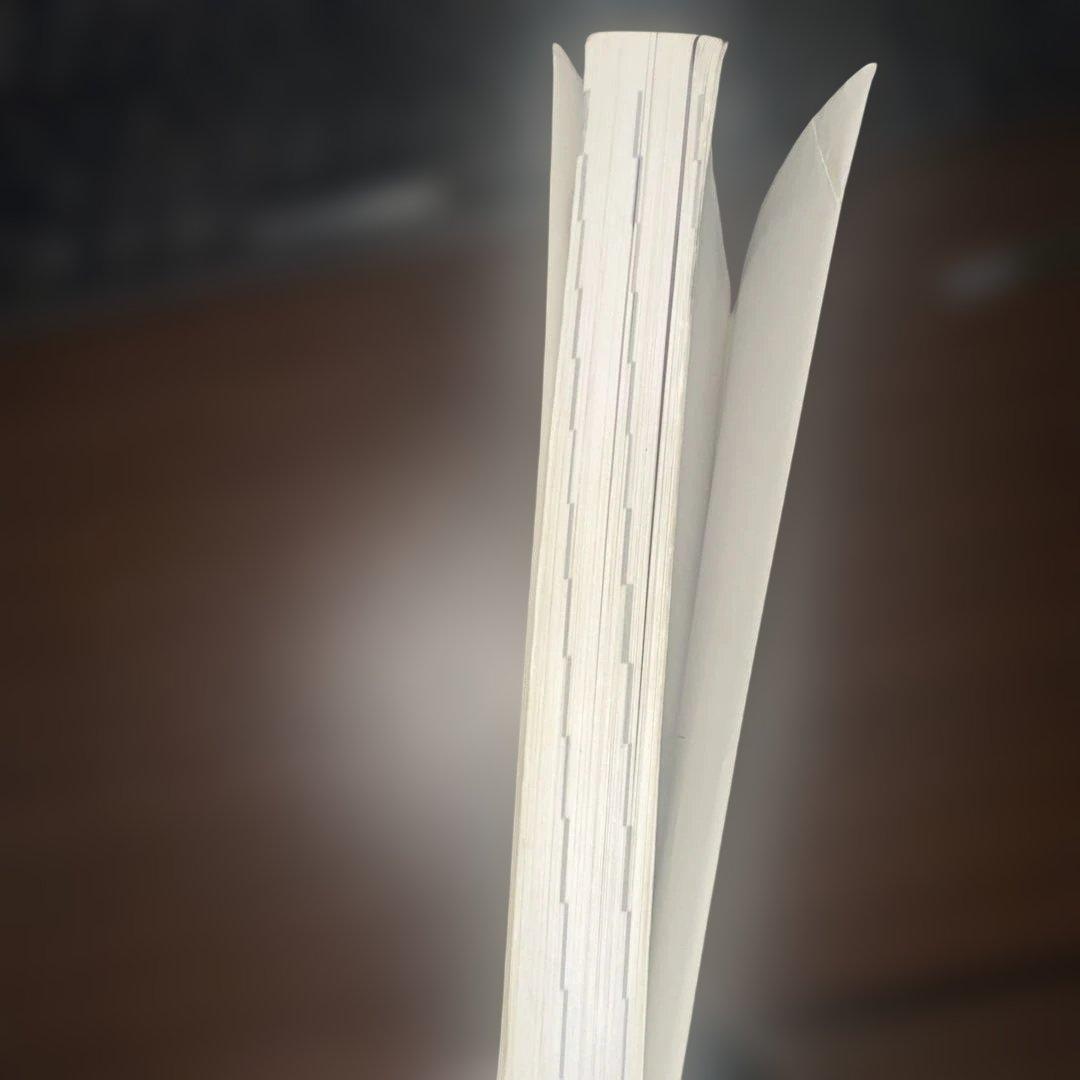 高3理系数学　入試数学確認シリーズ　確シリ　21B6-0401