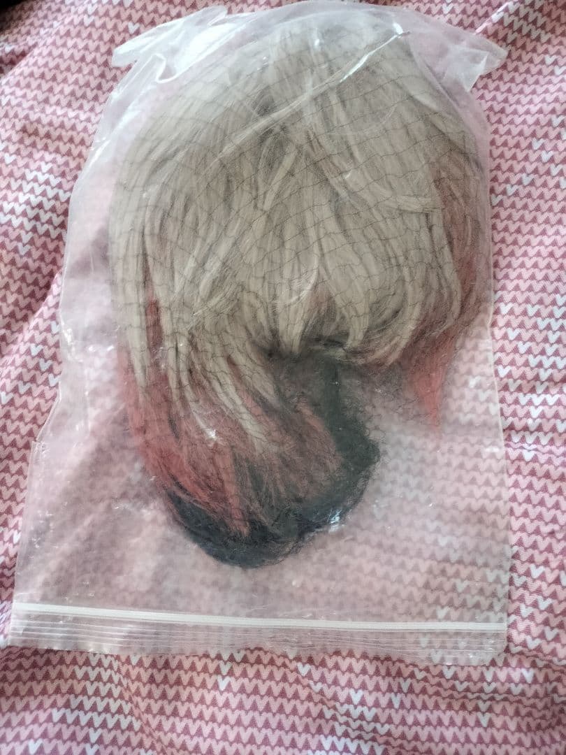 【難アリ】にじさんじ セラフ・ダズルガーデン コスプレ