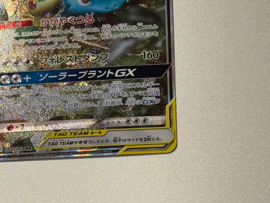 美品 フシギバナ＆ツタージャGX SR SM11a リミックスバウト