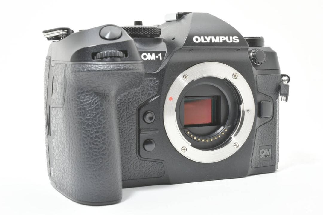 ショット数:4367回 OLYMPUS OM SYSTEM OM-1 #1060