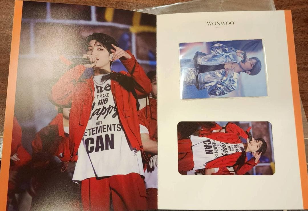 SEVENTEEN 南海ラピート メモリアルカード Wonwoo ウォヌ
