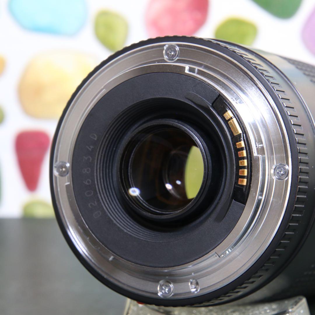 ♥︎◇やっぱり純正レンズ♪ ◇Canon 75-300mm USM ◇望遠♪