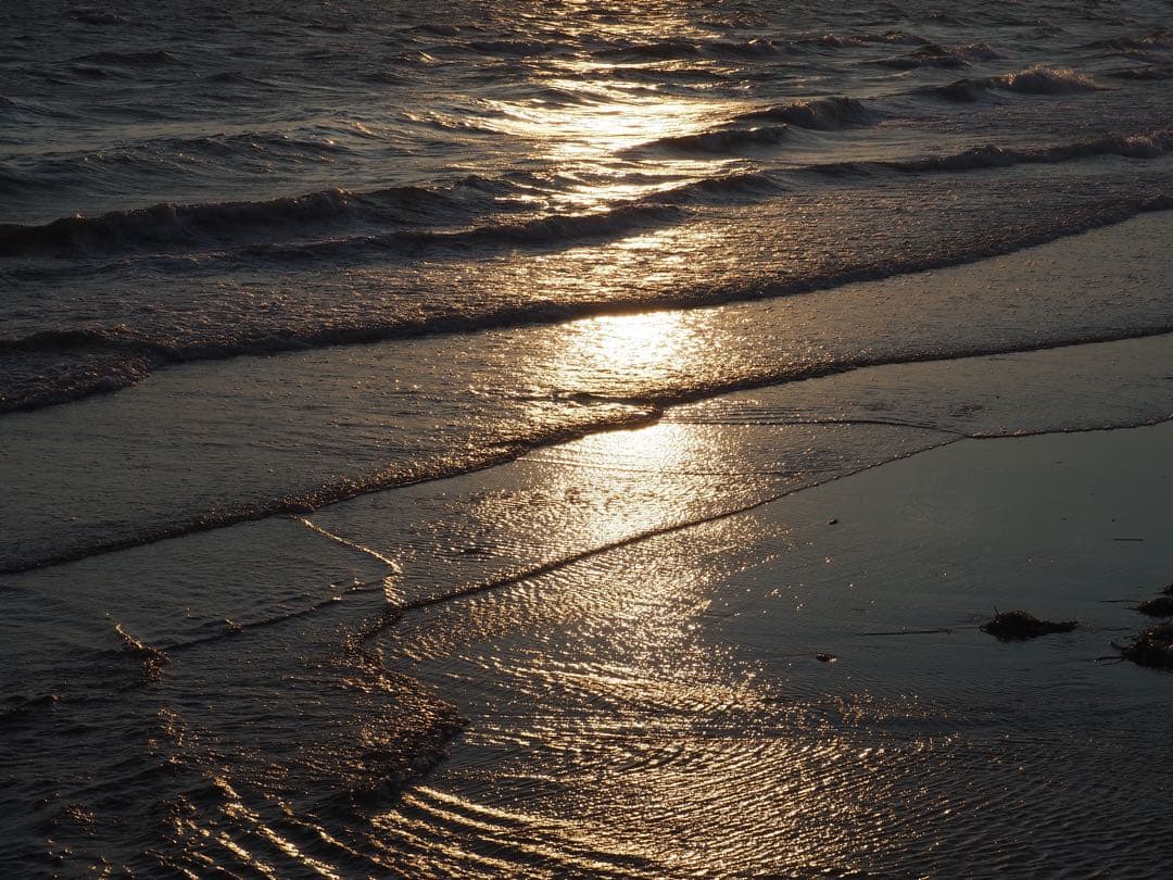 OLYMPUS PEN-PL10 ミラーレス一眼カメラ 14-42mmレンズ付き