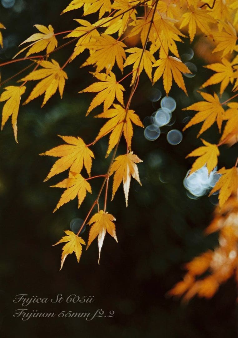 ★完動品＊美品＊初期保証★フジカ　st605ⅱ／フジノン55mm f2.2