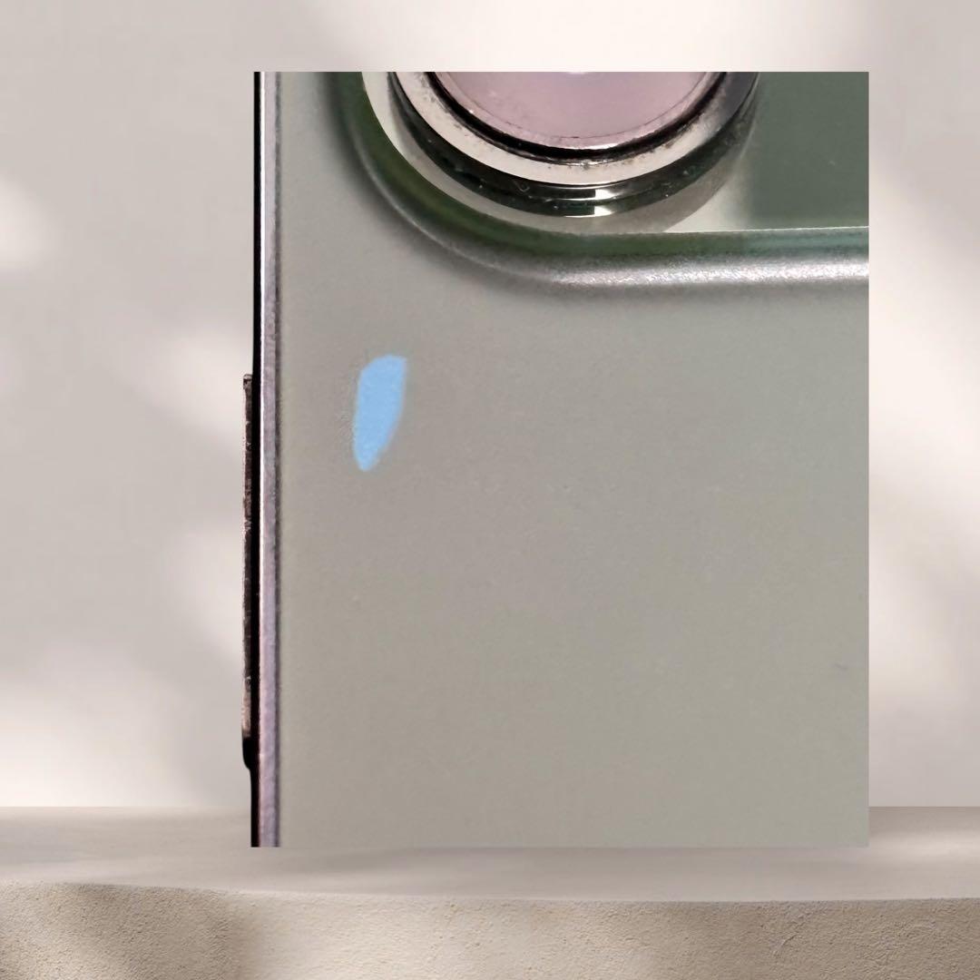 iPhone 13 Pro Max 256GB アルパイングリーン