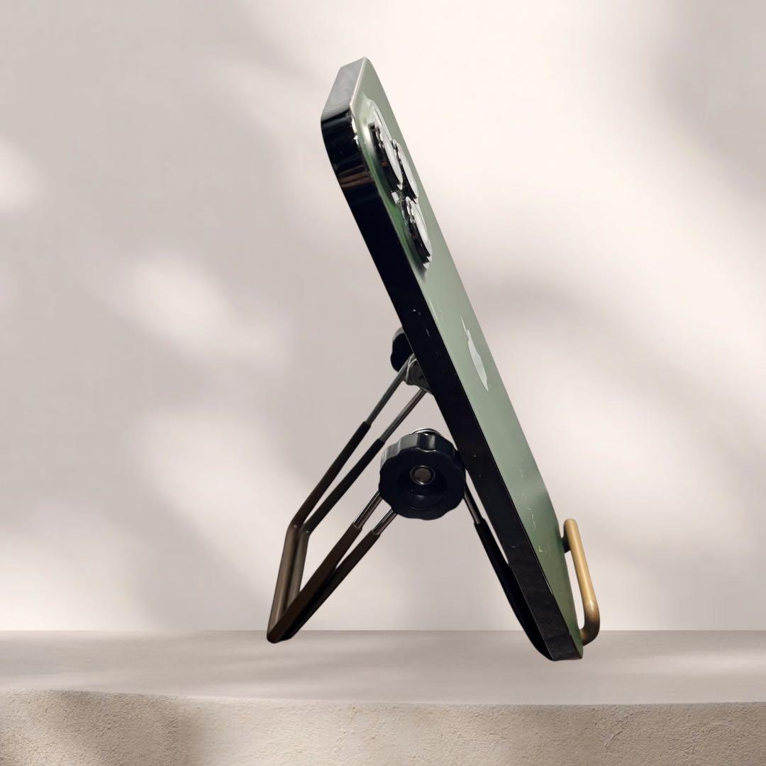 iPhone 13 Pro Max 256GB アルパイングリーン