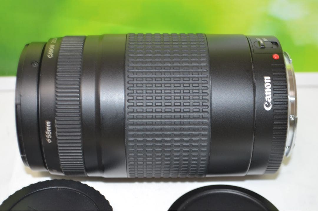 300mm超望遠レンズ★CANON EF 75-300mm