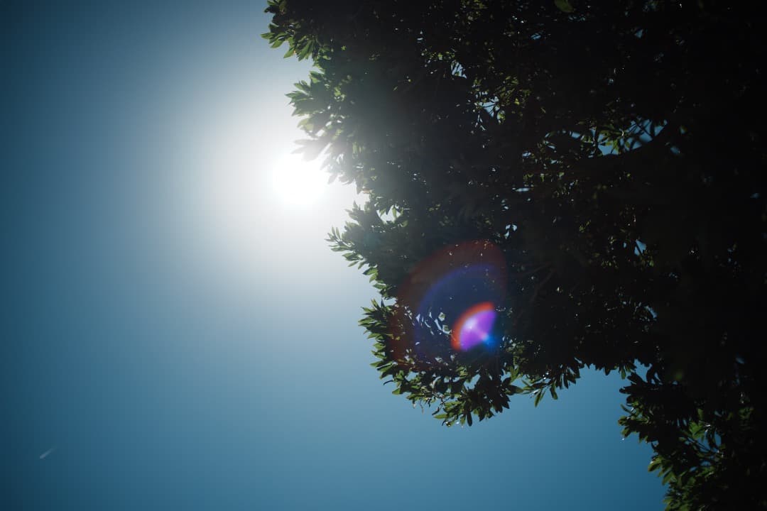 【極美品】Nikon Ai Nikkor 35mm F2 ニコン 353