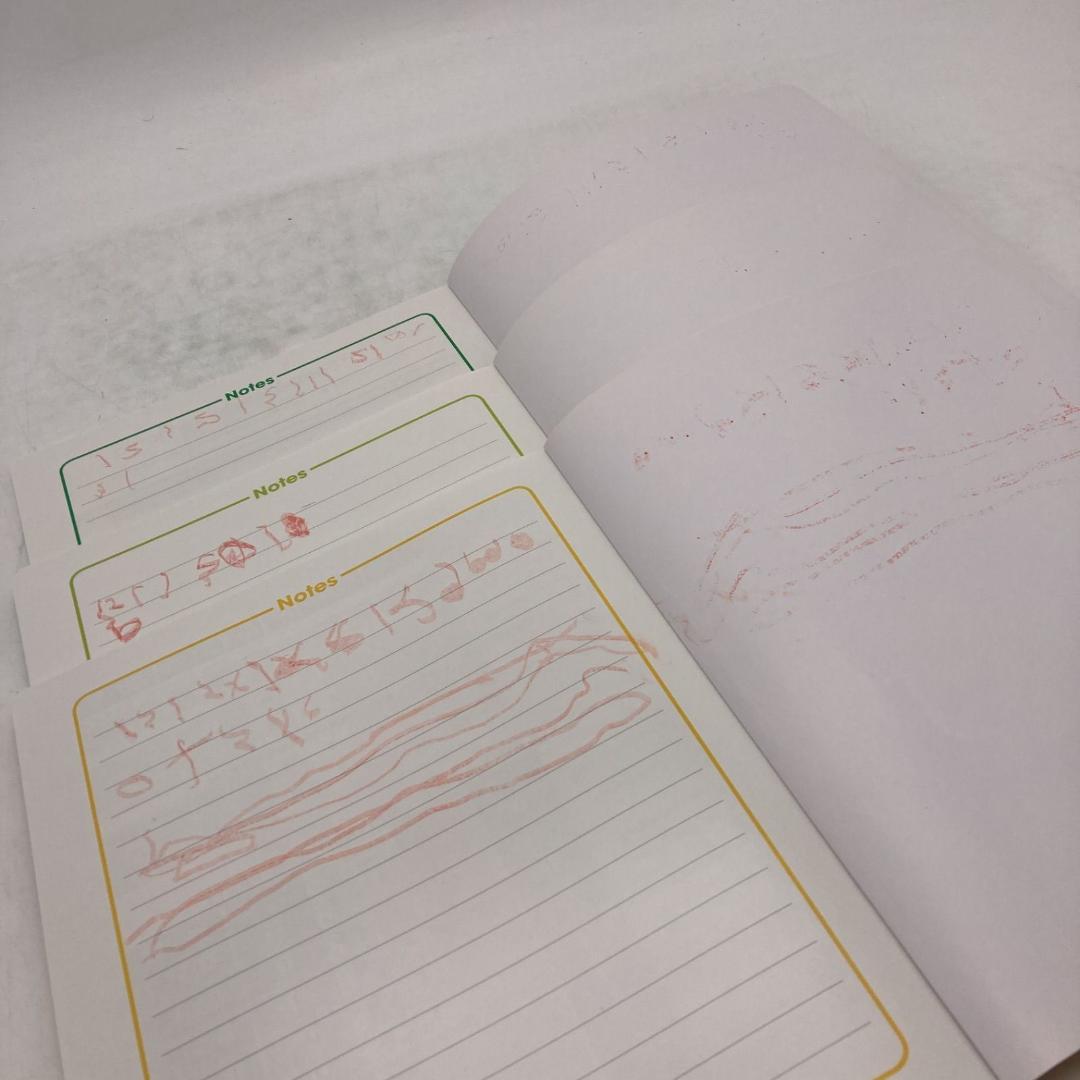 最新　シングアロング ブルーレイ　DWE　ディズニー英語システム　1002126