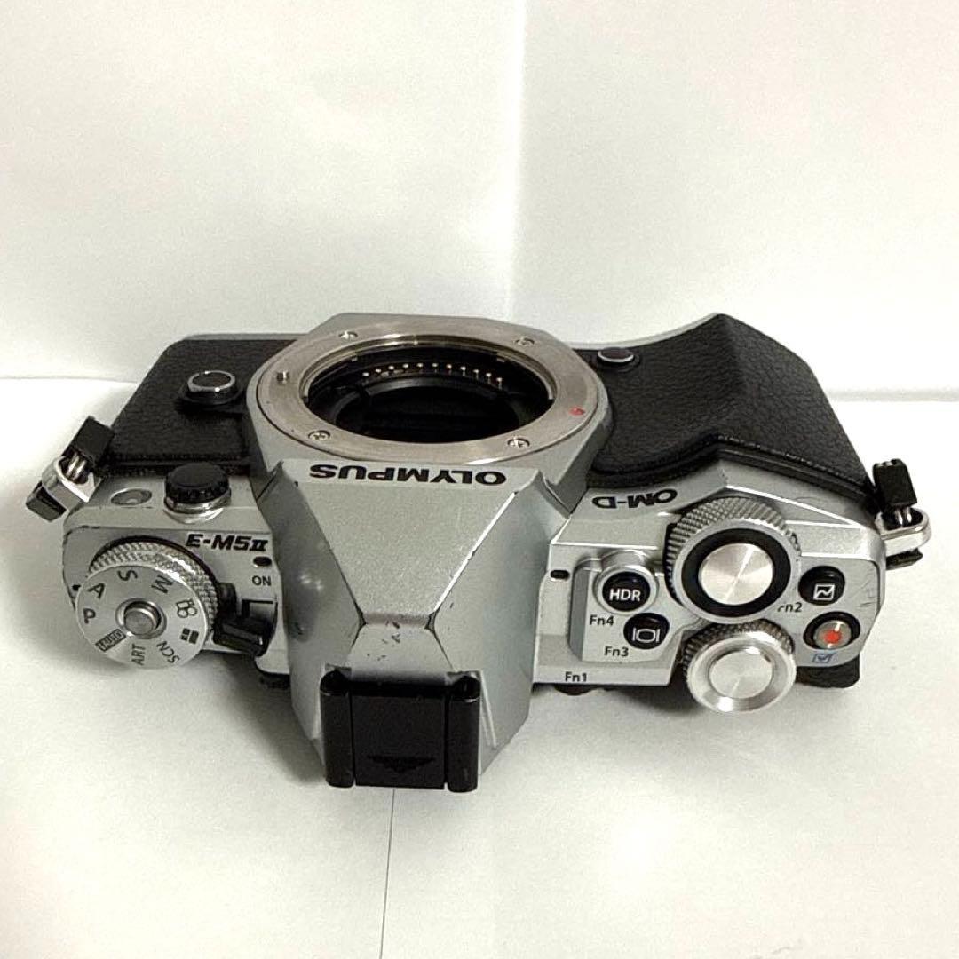 ☆OLYMPUS OM-D E-M5 MarkII ボディー ☆