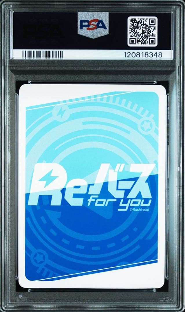 PSA10 アクア　PP サイン　この素晴らしい世界に祝福を