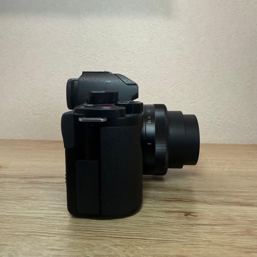 LUMIX パナソニック DC-G100 標準ズームレンズ