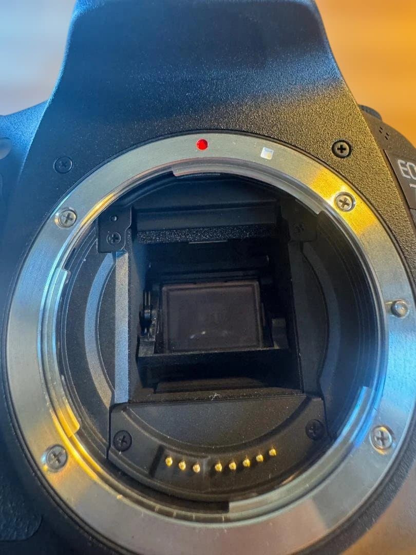 【極美品】キヤノン EOS 7D ボディ＋ レンズ2本セット