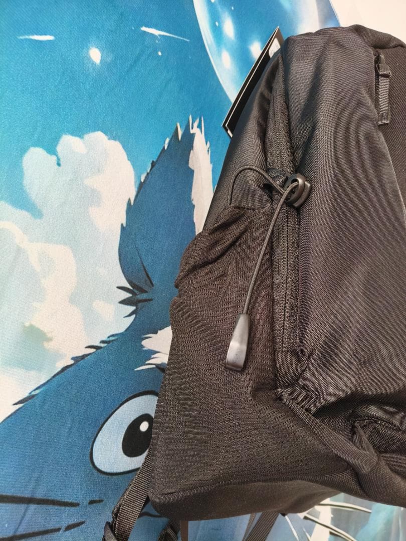 Arc'teryx Mantis 26 Backpack ブラック