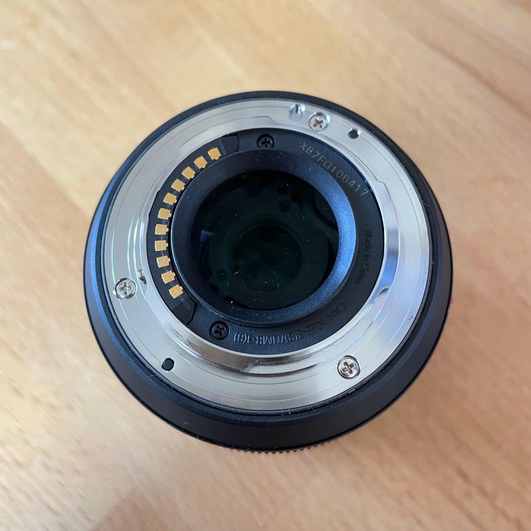 レンズ(ズーム) Panasonic H-FS12060