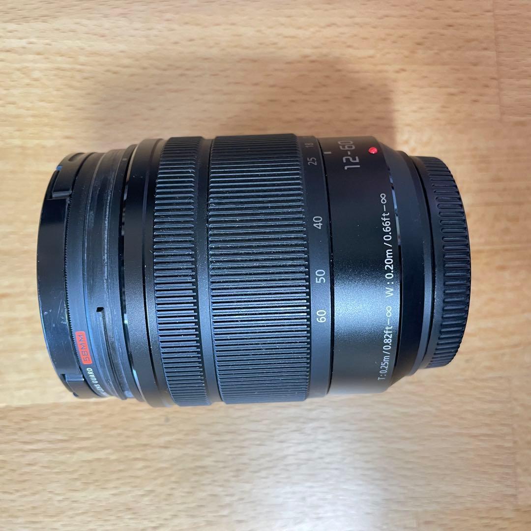 レンズ(ズーム) Panasonic H-FS12060