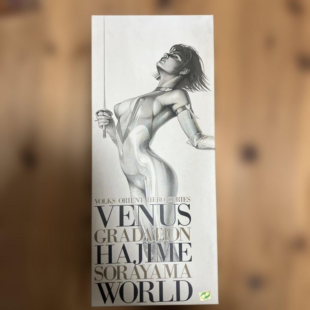 ご*砲様 VOLKS　ボークス　空山基 1/4 キューティーハニー