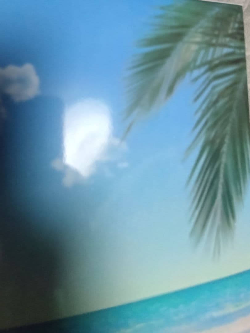 T*A様 Fate一番くじC賞Grand Orderムーンキャンサー 1/7 フ