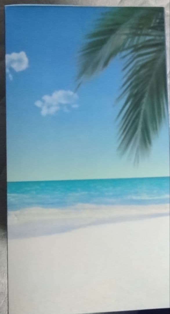 T*A様 Fate一番くじC賞Grand Orderムーンキャンサー 1/7 フ