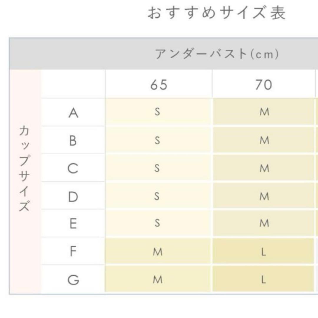 上下セット ブラデリスニューヨーク 空条徐倫 ブラセット ジョジョコラボ S M