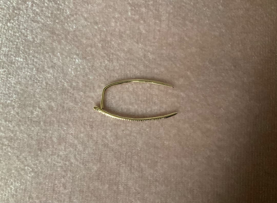 GABRIELA ARTIGAS/ PAVE INFINITE TUSKピアス