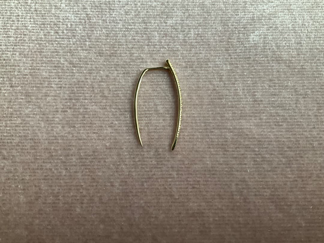 GABRIELA ARTIGAS/ PAVE INFINITE TUSKピアス