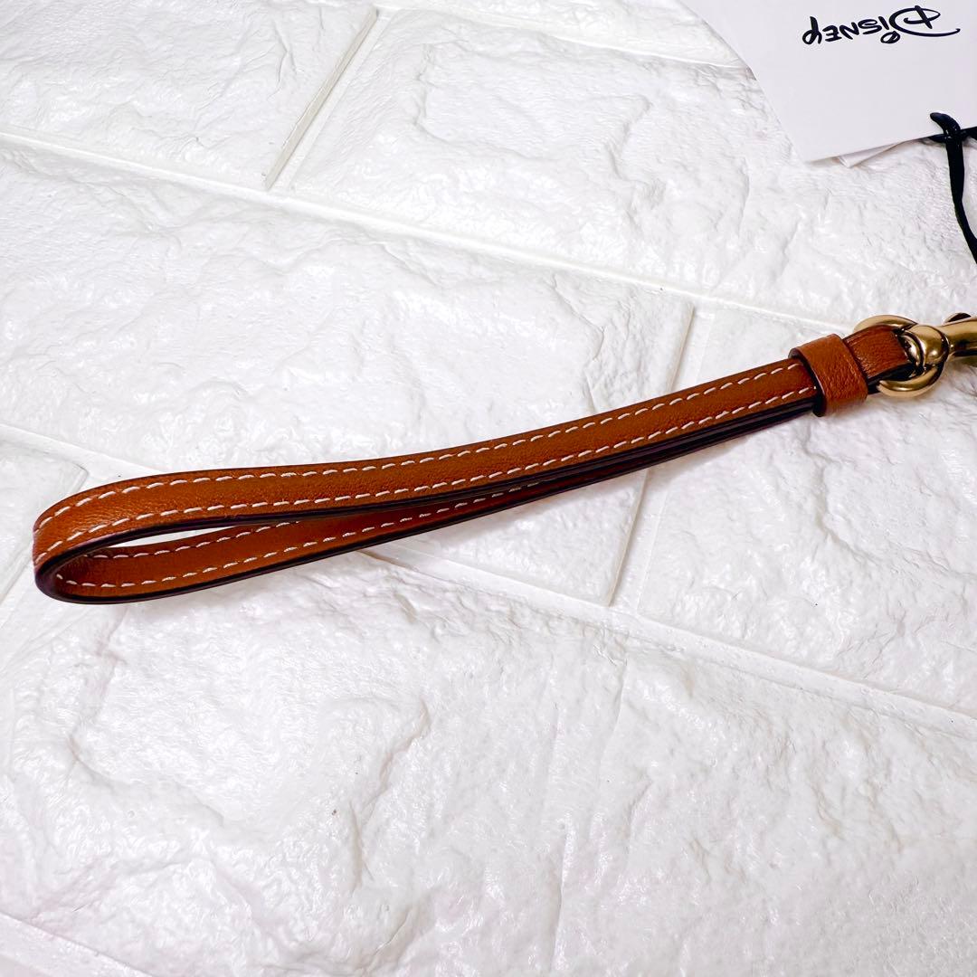 タグ付【未使用】COACH ポーチ シグネチャー ディズニー ドナルド デイジー