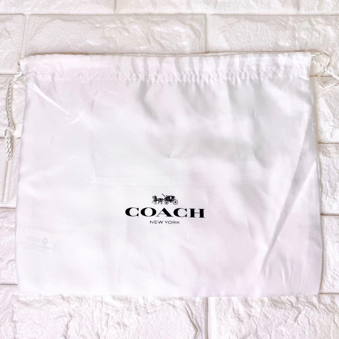 タグ付【未使用】COACH ポーチ シグネチャー ディズニー ドナルド デイジー