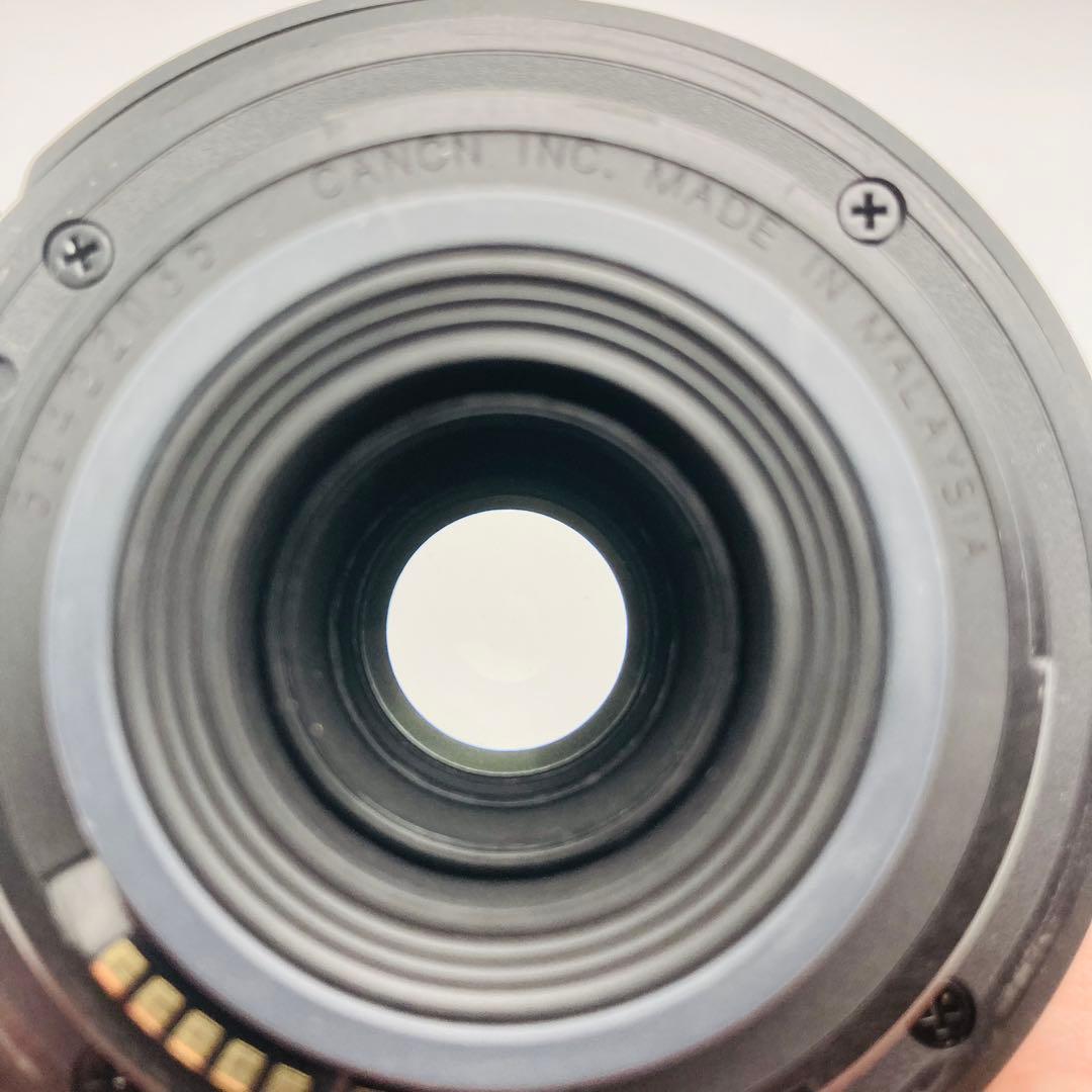 Canon EF-S 55-250mm F4-5.6 IS カメラレンズ