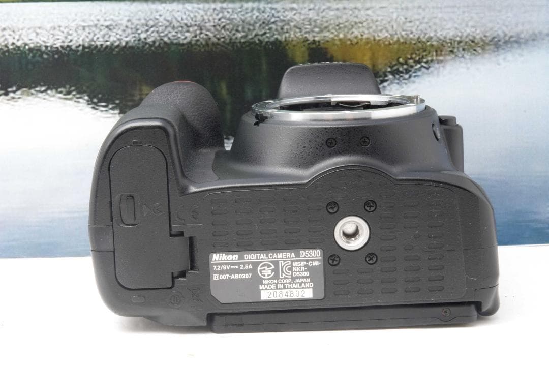 【美品】Nikon D5300 WiFi機能付 動画撮影可能 初めての一眼レフ