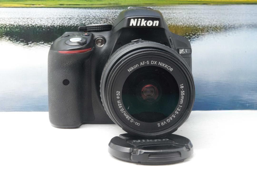 【美品】Nikon D5300 WiFi機能付 動画撮影可能 初めての一眼レフ