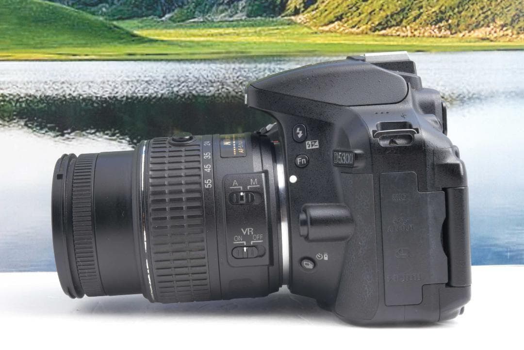 【美品】Nikon D5300 WiFi機能付 動画撮影可能 初めての一眼レフ