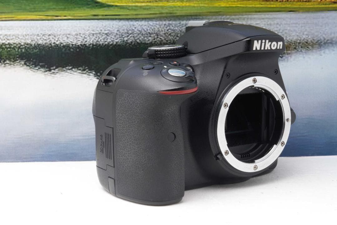 【美品】Nikon D5300 WiFi機能付 動画撮影可能 初めての一眼レフ